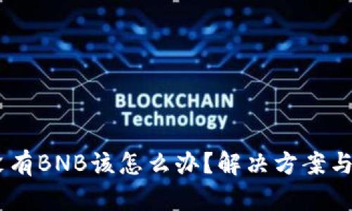 t.p钱包没有BNB该怎么办？解决方案与使用技巧