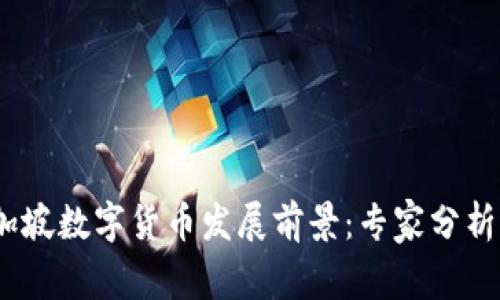 2023年新加坡数字货币发展前景：专家分析及趋势预测