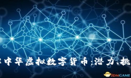 全面了解中华虚拟数字货币：潜力、挑战与未来