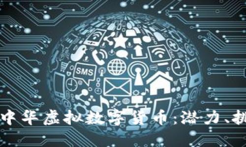 全面了解中华虚拟数字货币：潜力、挑战与未来
