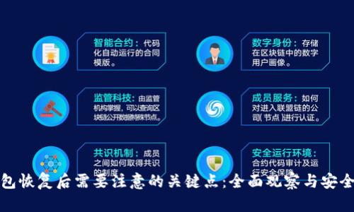 TP钱包恢复后需要注意的关键点：全面观察与安全保障