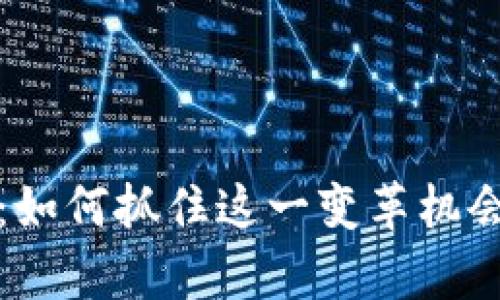 数字货币新时代：如何抓住这一变革机会并解决用户痛点