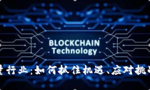 数字货币增量行业：如何抓住机遇、应对挑战和实现盈利