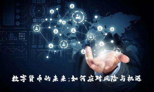数字货币的未来：如何应对风险与机遇