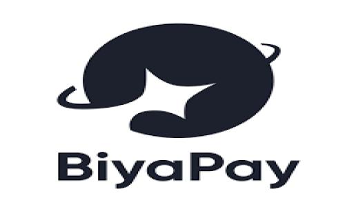 在T P钱包中，“BT”通常指代“比特币（Bitcoin）”的缩写。比特币是一种数字货币，通过区块链技术实现去中心化的交易。以下是一些关键点供您参考：

1. **比特币的定义**
   - 比特币是一种无需中央银行或单一管理机构的数字货币。

2. **如何在TP钱包中使用比特币**
   - 用户可以通过TP钱包发送和接收比特币，以及进行相关的交易。

3. **比特币的优势**
   - 安全性、交易匿名性和去中心化管理。

4. **比特币的市场行情**
   - 了解比特币的市场价格波动及投资风险。

如果您有进一步的问题，欢迎询问！