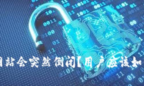 为何有助记词的钱包网站会突然倒闭？用户应该如何保护自己的数字资产