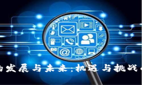 数字货币的发展与未来：机遇与挑战的深度分析