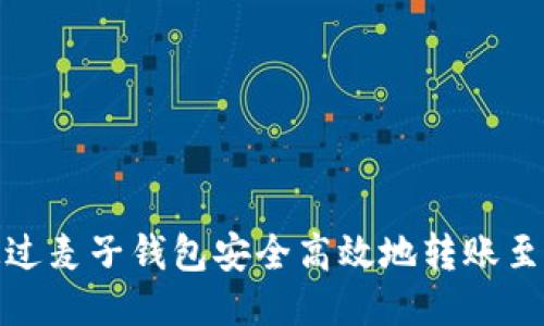 如何通过麦子钱包安全高效地转账至TP钱包