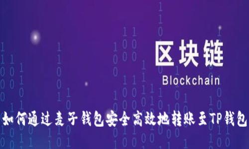 如何通过麦子钱包安全高效地转账至TP钱包