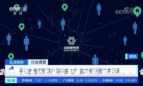 西藏数字货币的现状与未来：机遇、挑战与发展前景