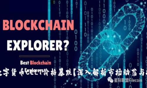 为什么数字货币CELT价格暴跌？深入解析市场动荡与投资风险