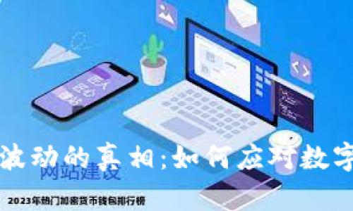 揭开TP钱包价格波动的真相：如何应对数字资产市场的挑战