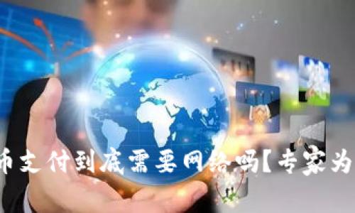 数字货币支付到底需要网络吗？专家为你解读！