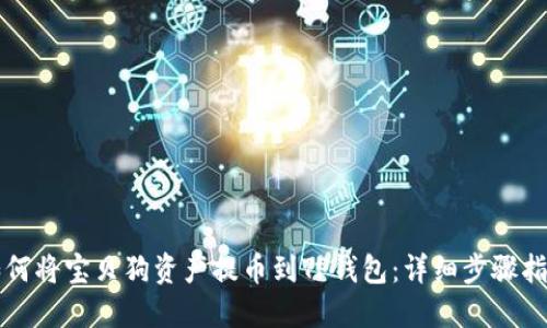 如何将宝贝狗资产提币到TP钱包：详细步骤指南