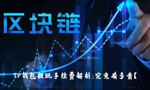 TP钱包提现手续费解析：究竟有多贵？
