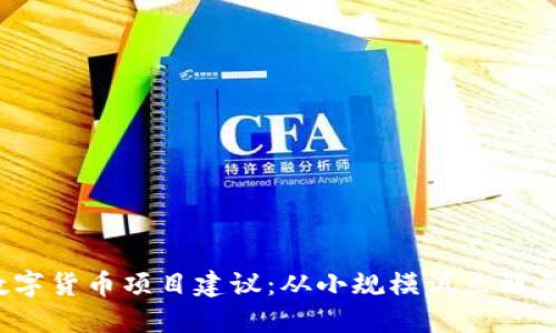 2020数字货币项目建议：从小规模试点到全球普及