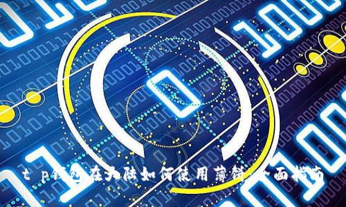 t p钱包在大陆如何使用薄饼：全面指南