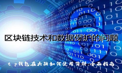 t p钱包在大陆如何使用薄饼：全面指南