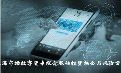 上海市场数字货币概念股的投资机会与风险分析