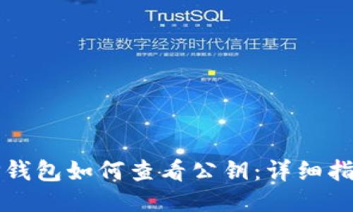 TP钱包如何查看公钥：详细指南