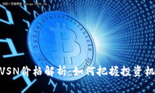 数字货币VSN价格解析：如何把握投资机会与风险