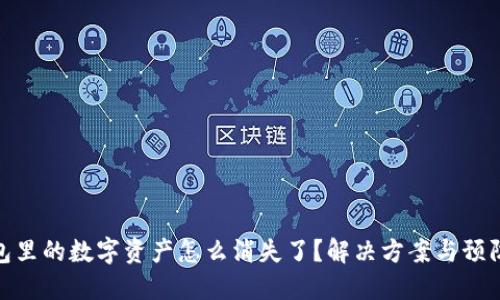 TP钱包里的数字资产怎么消失了？解决方案与预防措施