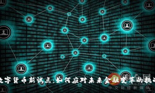 数字货币新试点：如何应对未来金融变革的挑战