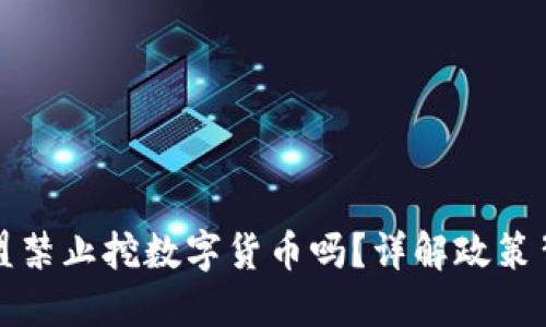 ### 欧盟禁止挖数字货币吗？详解政策背景与影响