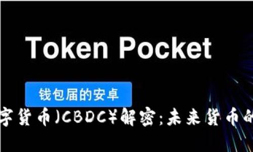 国际央行数字货币（CBDC）解密：未来货币的演变与挑战