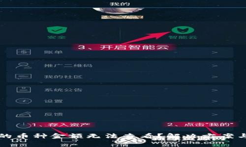 TP钱包新上市的币种金额无法查看？解决方案与常见问题解析