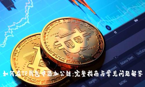 如何在TP钱包中添加公链：完整指南与常见问题解答
