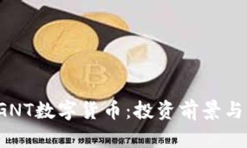 2023年GNT数字货币：投资前景与风险分析