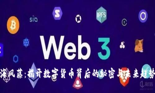 海风藤：揭开数字货币背后的秘密与未来趋势