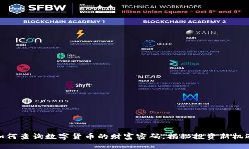 如何查询数字货币的财富密码，揭秘投资新机遇