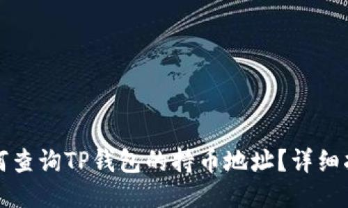 如何查询TP钱包的持币地址？详细指南