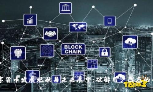 中国数字货币发展现状与未来展望：破解用户困惑的全面解析