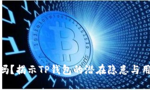 TP钱包安全吗？揭示TP钱包的潜在隐患与用户保护措施