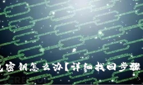 忘记TP钱包密钥怎么办？详细找回步骤与防范技巧
