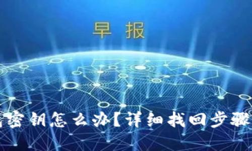 忘记TP钱包密钥怎么办？详细找回步骤与防范技巧