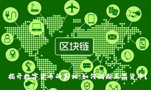  揭开数字货币的真相：如何判断正品货币？
