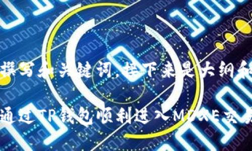 自己撰写和关键词，接下来是大纲和内容

如何通过TP钱包顺利进入MDXE交易所