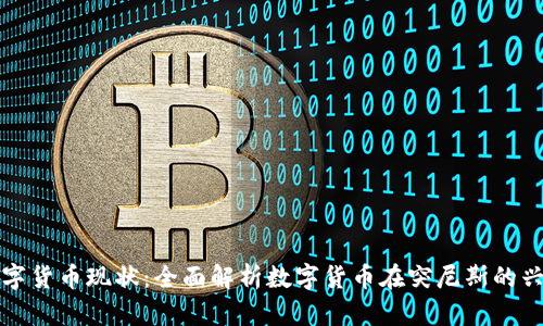 突尼斯数字货币现状：全面解析数字货币在突尼斯的兴起与挑战