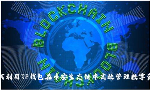 如何利用TP钱包在币安生态链中高效管理数字资产