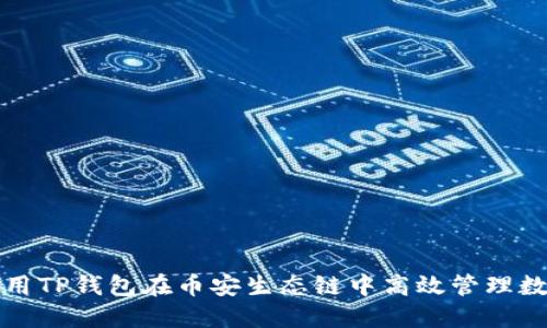 如何利用TP钱包在币安生态链中高效管理数字资产