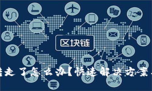 TP钱包被转走了怎么办？快速解决方案与防范措施