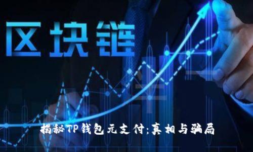 揭秘TP钱包元支付：真相与骗局
