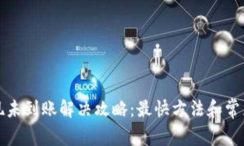 TP钱包提现未到账解决攻略：最快方法和常见问题解答