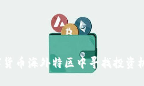 如何在数字货币海外特区中寻找投资机会与风险？
