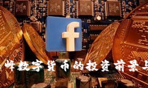 2023年云峰数字货币的投资前景与风险分析
