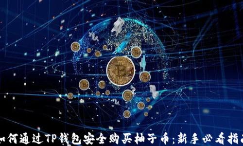
如何通过TP钱包安全购买柚子币：新手必看指南